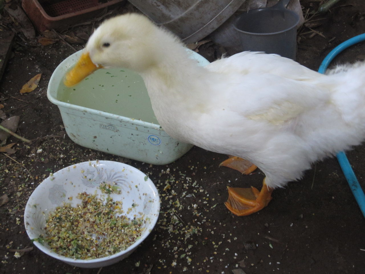 五時半起きにネをあげる どんなときにハッピー