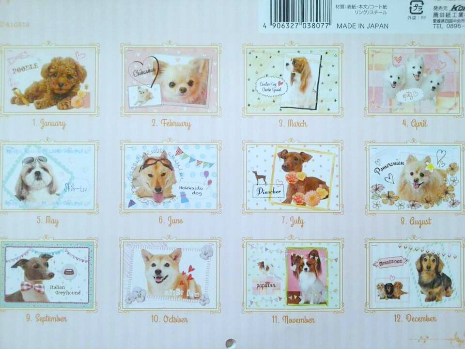 セリア 15年 カレンダー 日々 穏やかに