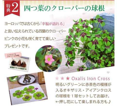 義父母に会いに 日々 穏やかに