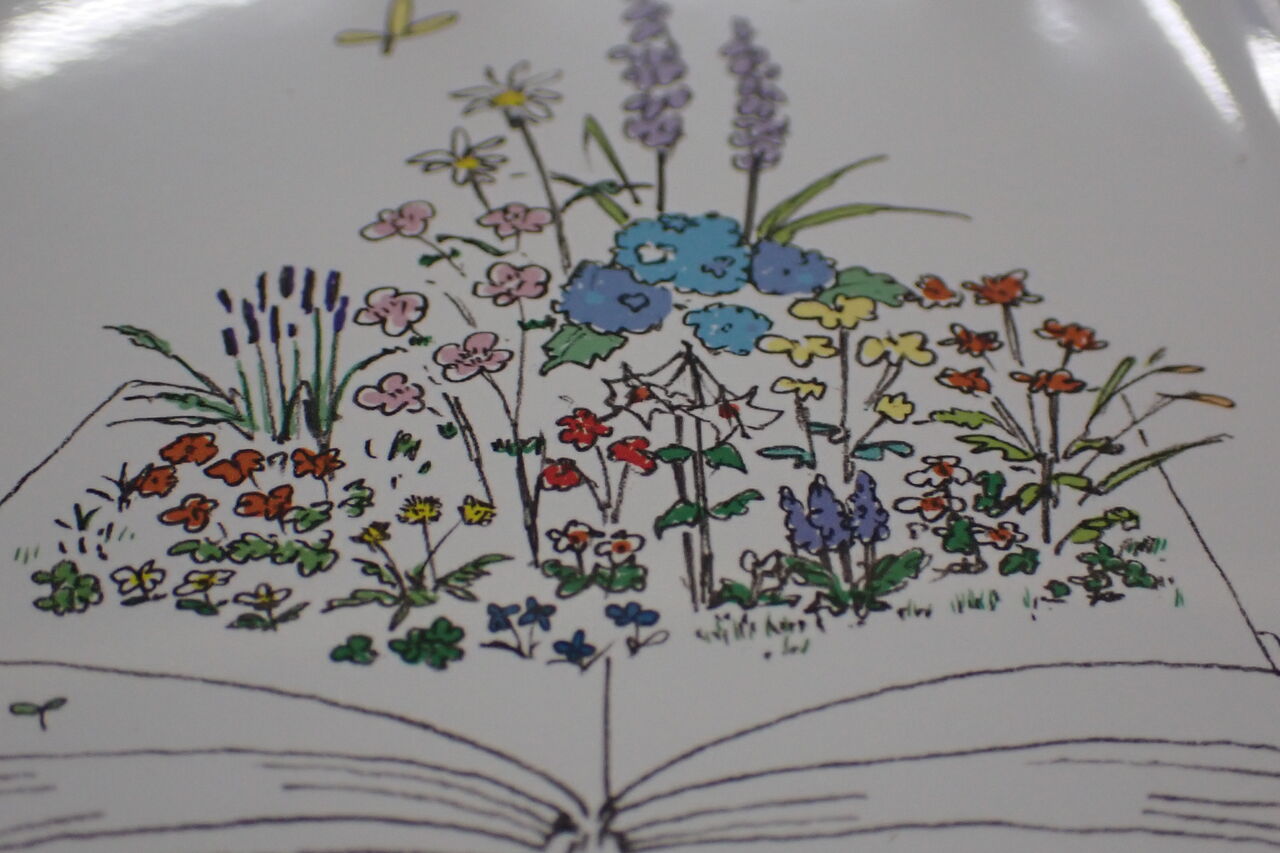 イラスト入門 春の野の花を描きたい 大人のためのリベラルアーツ 第８回報告 葉っぱ塾 ブナの森から吹く風