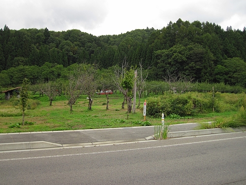 IMG_7963 IMG_7963