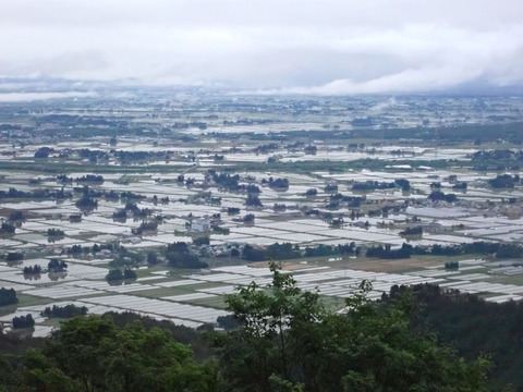 P6012125