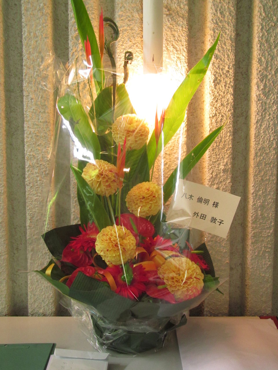 葉っぱ塾 ブナの森から吹く風 葉っぱ塾からのメッセージ Livedoor Blog ブログ 葉っぱ塾 ブナの森から吹く風 葉っぱ塾からのメッセージ Livedoor Blog ブログ