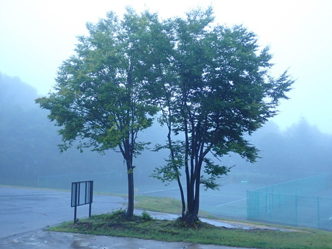 P9040506