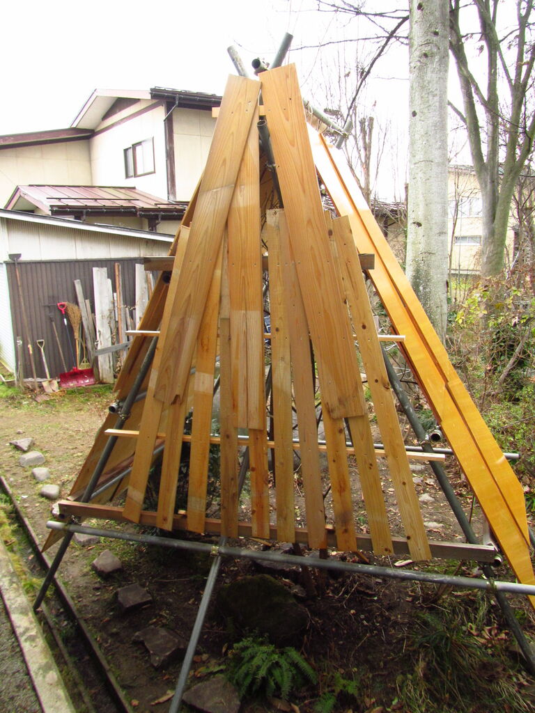 庭のオオヤマザクラに雪囲い 見事な花を咲かせる春を待つ 葉っぱ塾 ブナの森から吹く風