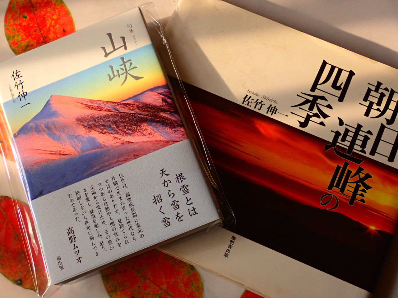 佐竹伸一さんの句集『山峡』を拝読 : 葉っぱ塾～ブナの森から吹く風
