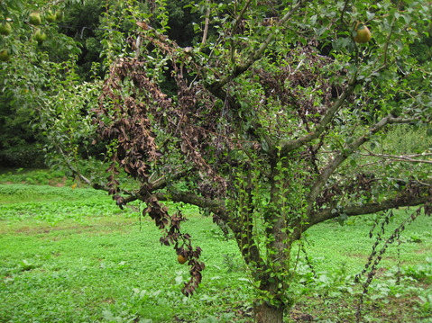 IMG_7960 IMG_7960