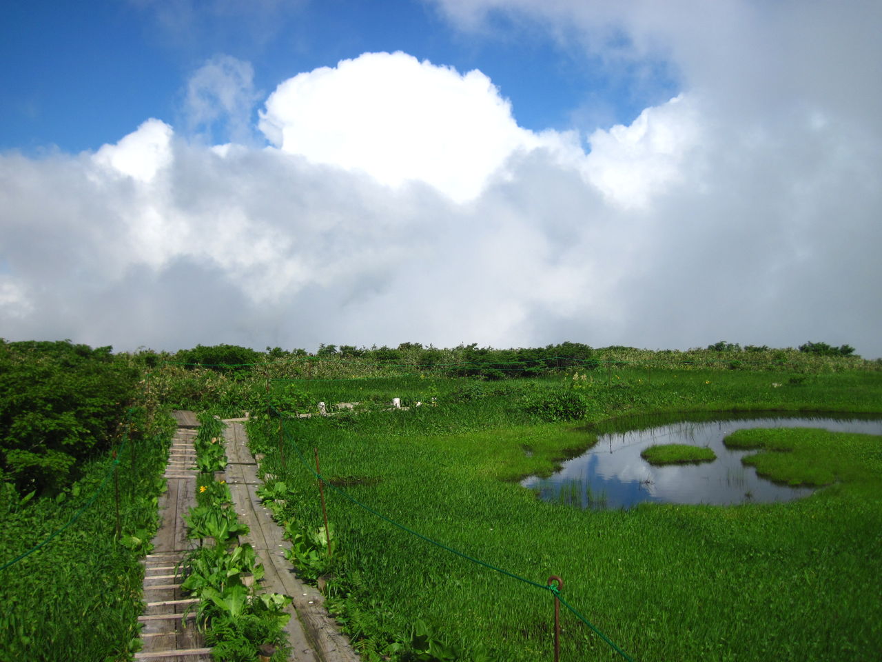 夏雲のぞく月山 弥陀ヶ原湿原 葉っぱ塾 ブナの森から吹く風 夏雲のぞく月山 弥陀ヶ原湿原 葉っぱ塾 ブナの森から吹く風