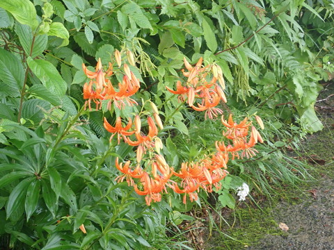 P8023649