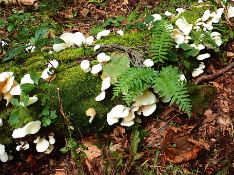P9144601
