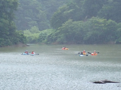 P7133435