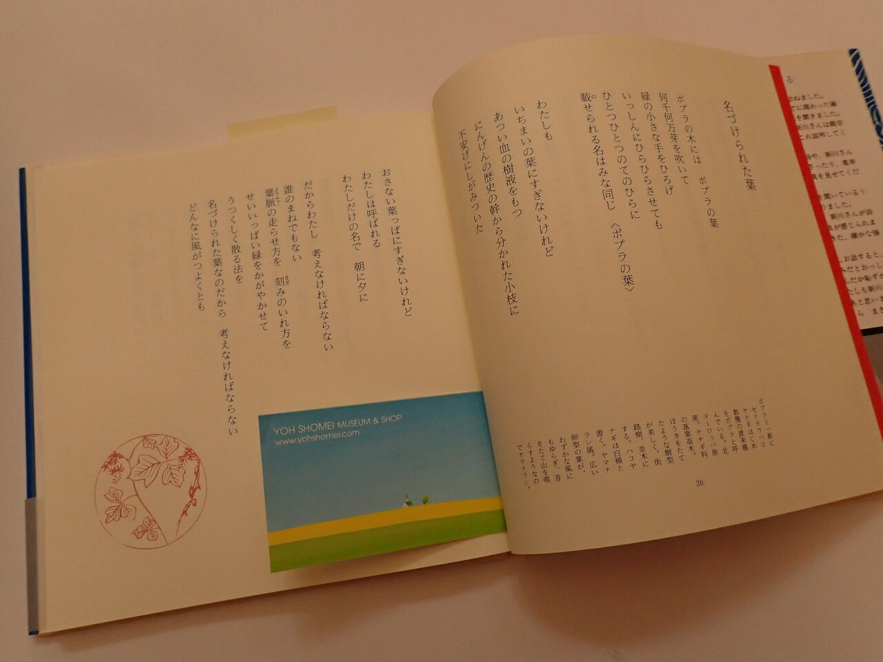 『名づけられた葉』の新川和江さん、逝く : 葉っぱ塾~ブナの森 『名づけられた葉』の新川和江さん、逝く : 葉っぱ塾~ブナの森