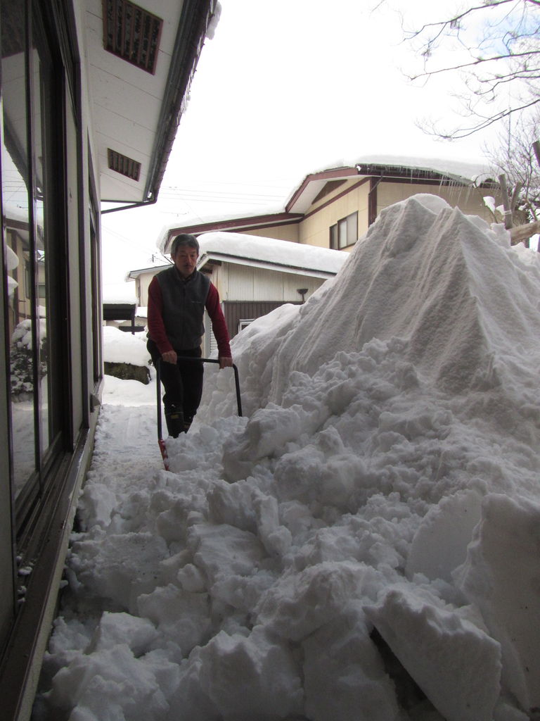 緩まぬ寒気 落ちない屋根の雪 葉っぱ塾 ブナの森から吹く風 緩まぬ寒気 落ちない屋根の雪 葉っぱ塾 ブナの森から吹く風
