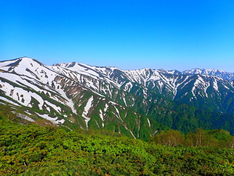 P6092988