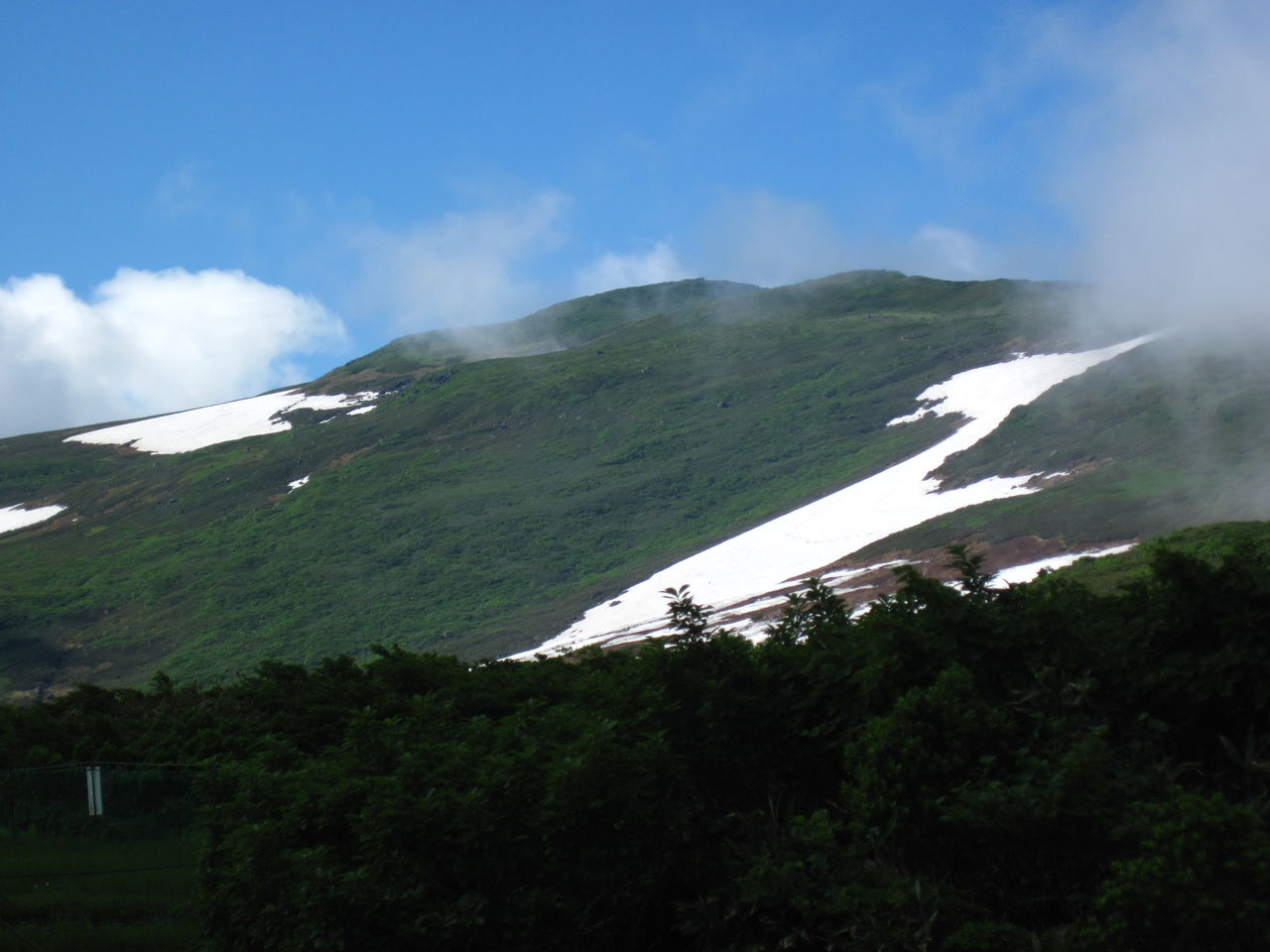 夏雲のぞく月山 弥陀ヶ原湿原 葉っぱ塾 ブナの森から吹く風 夏雲のぞく月山 弥陀ヶ原湿原 葉っぱ塾 ブナの森から吹く風
