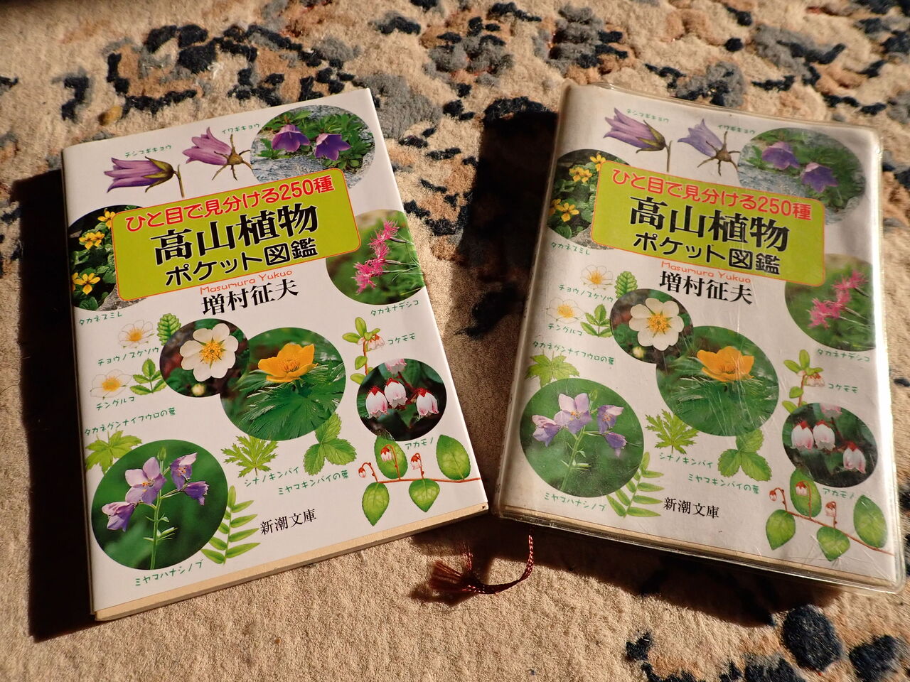 旅先大阪での収穫 高山植物ポケット図鑑 初版本をゲット 葉っぱ塾 ブナの森から吹く風 旅先大阪での収穫 高山植物ポケット図鑑 初版本をゲット 葉っぱ塾 ブナの森から吹く風