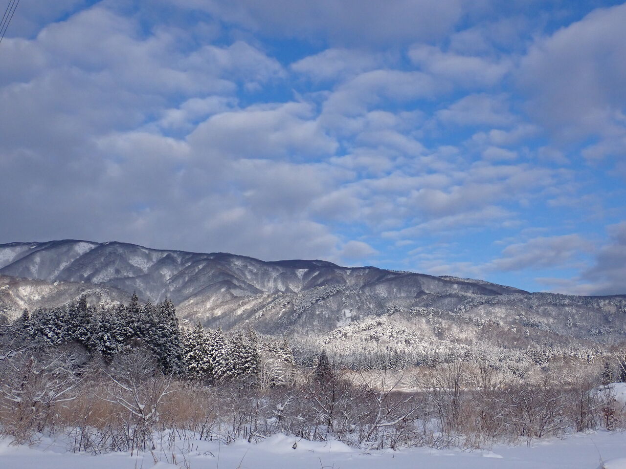 元日に向け葉山ラッセル 気温上がり重い雪 葉っぱ塾 ブナの森から吹く風 元日に向け葉山ラッセル 気温上がり重い雪 葉っぱ塾 ブナの森から吹く風