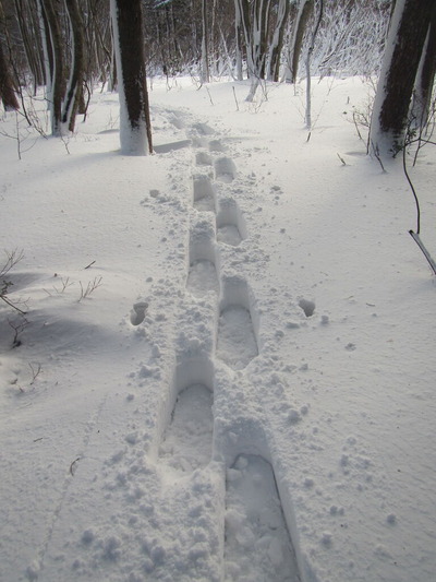 IMG_7633���