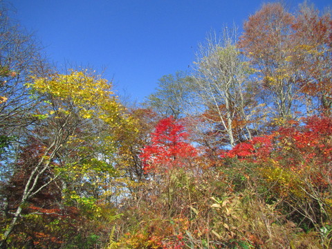 IMG_6325ƬÅ»³
