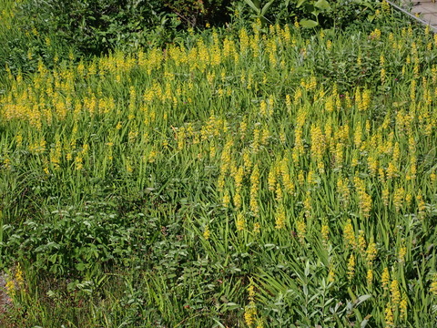 P7192725