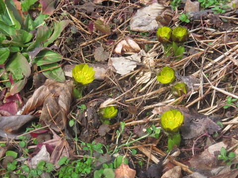 IMG_7645�ե����好��