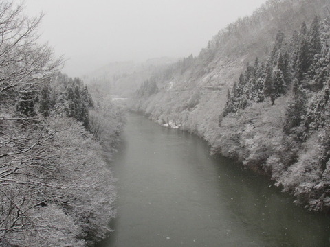 IMG_7576�����ڶ��Ǿ���