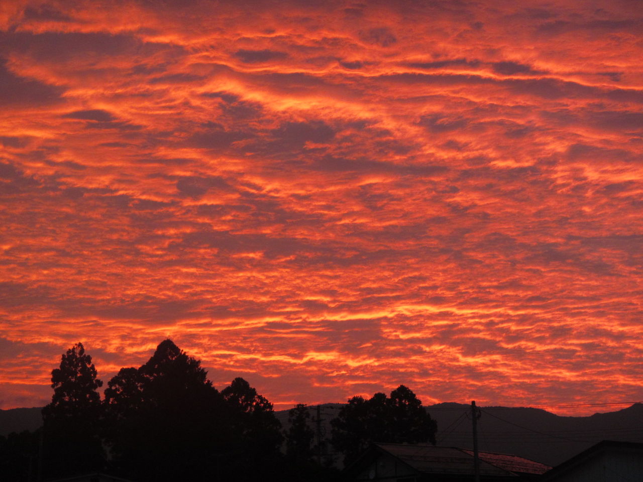 忘れない日の夕焼け 葉っぱ塾 ブナの森から吹く風