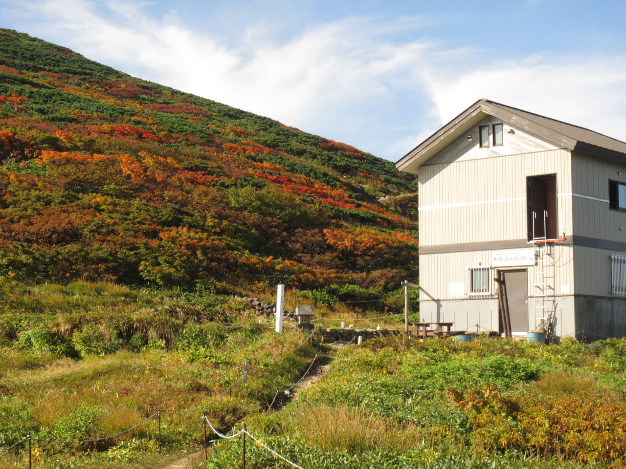 紅葉見ごろを迎える大朝日岳古寺ルート報告 9月22日 葉っぱ塾 ブナの森から吹く風 紅葉見ごろを迎える大朝日岳古寺ルート報告 9月22日 葉っぱ塾 ブナの森から吹く風