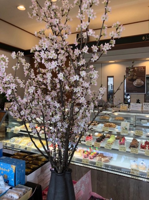 ��������������������ꥢ��