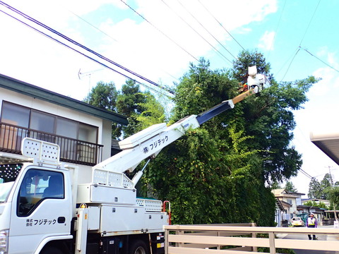 P9094405