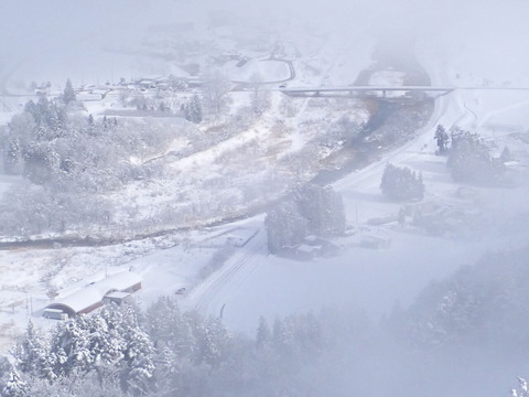 PC206273