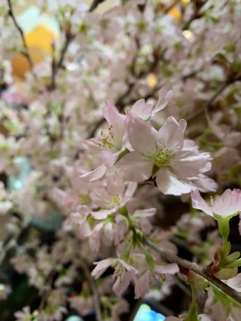 �����������������ݹ�˼����