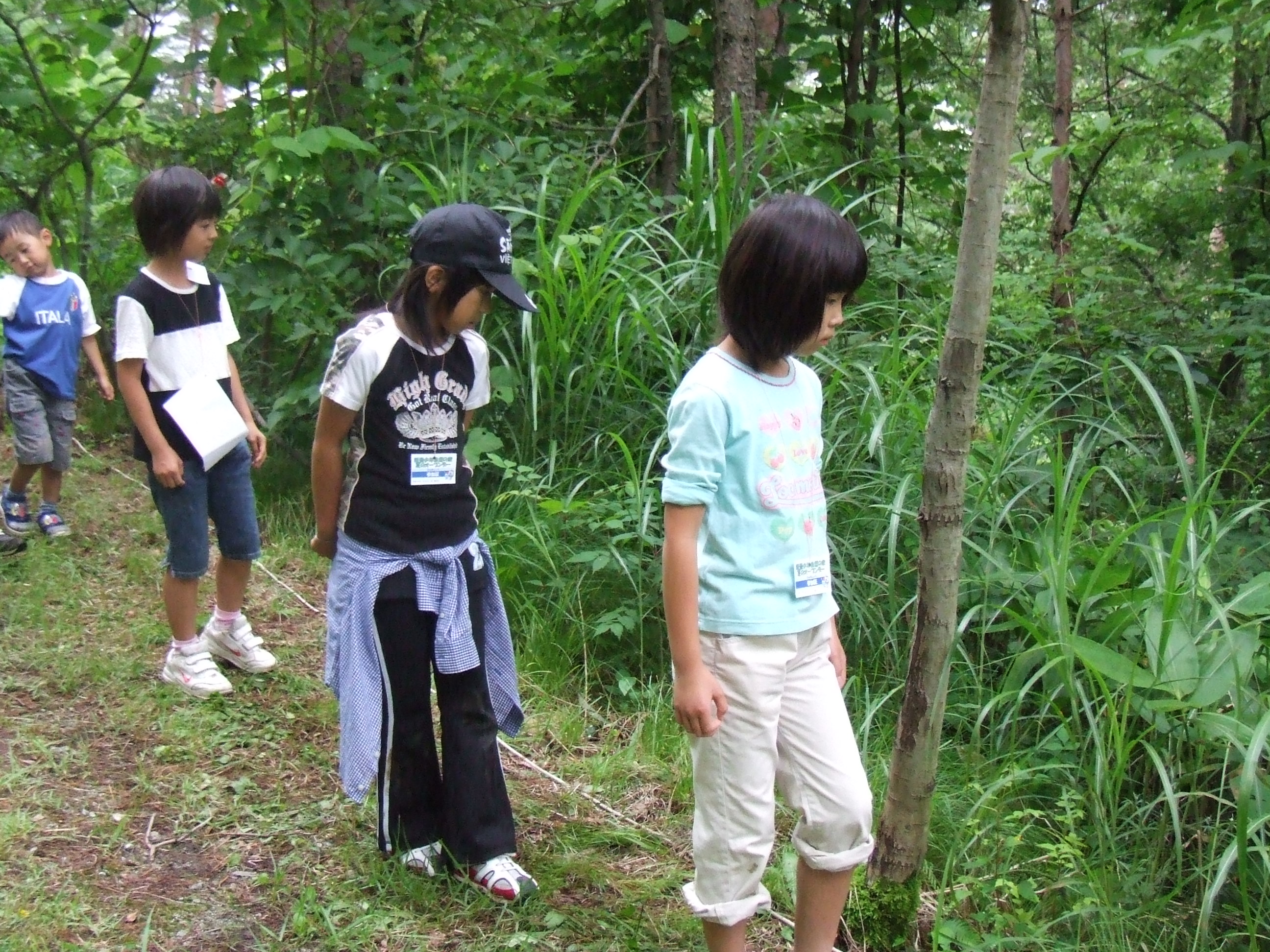 飯豊少年自然の家 夏のオープンデーにて 葉っぱ塾 ブナの森から吹く風