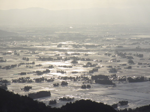 IMG_7629�������