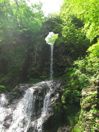 IMG_9091¤¯¤°¤êÂì