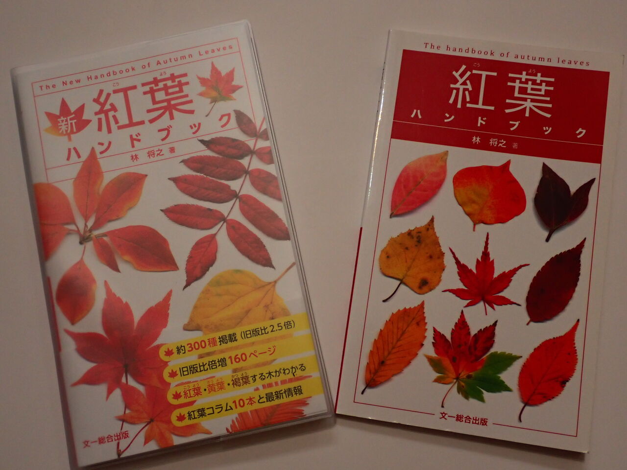 判小の葉の木 江口淳 1922年初版　木の葉の小判　赤い鳥社 出ました！『新紅葉ハンドブック』 : 葉っぱ塾～ブナの森から吹く風