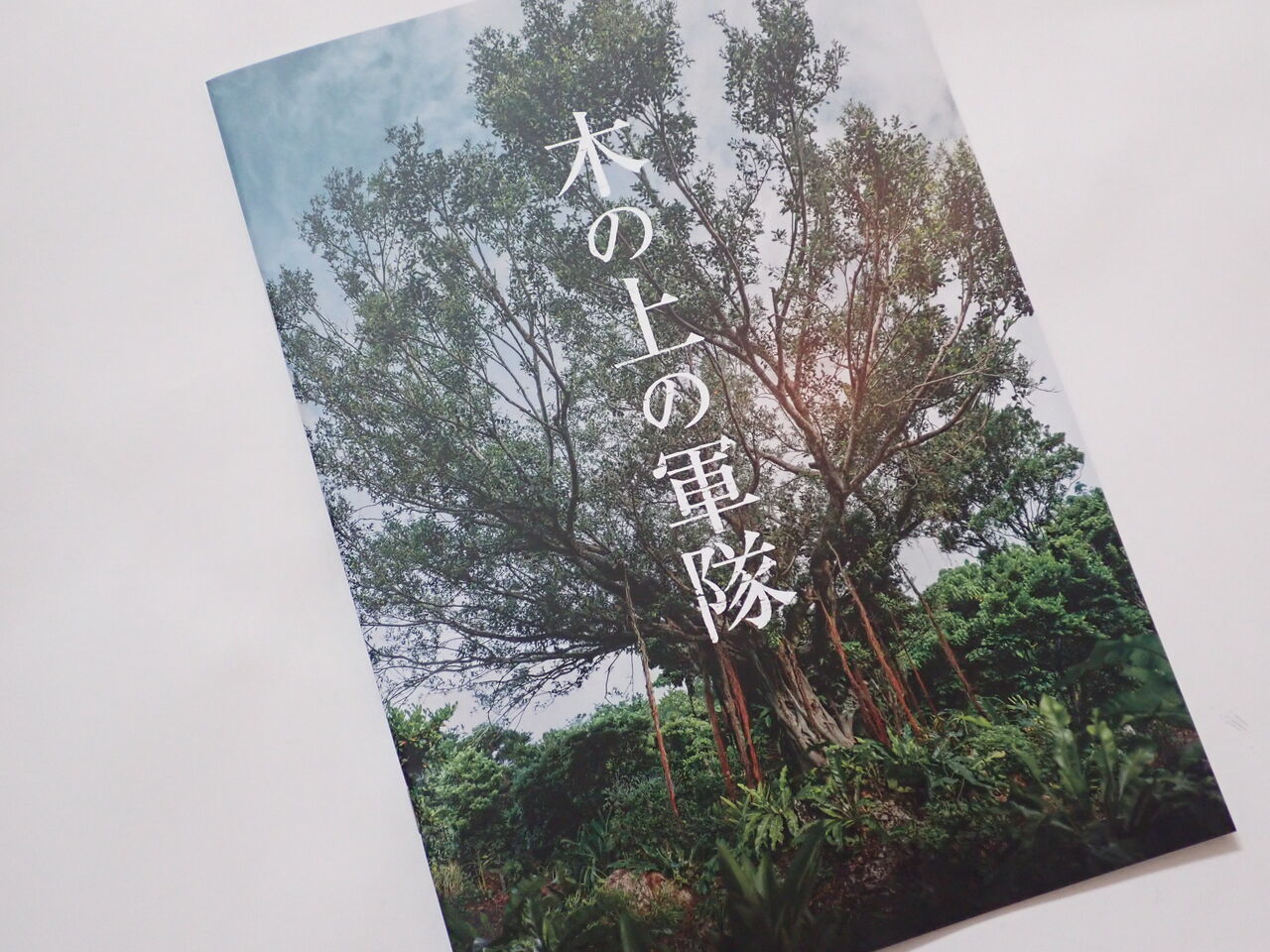 多くの人に観てほしい『木の上の軍隊』 : 葉っぱ塾～ブナの森から吹く風