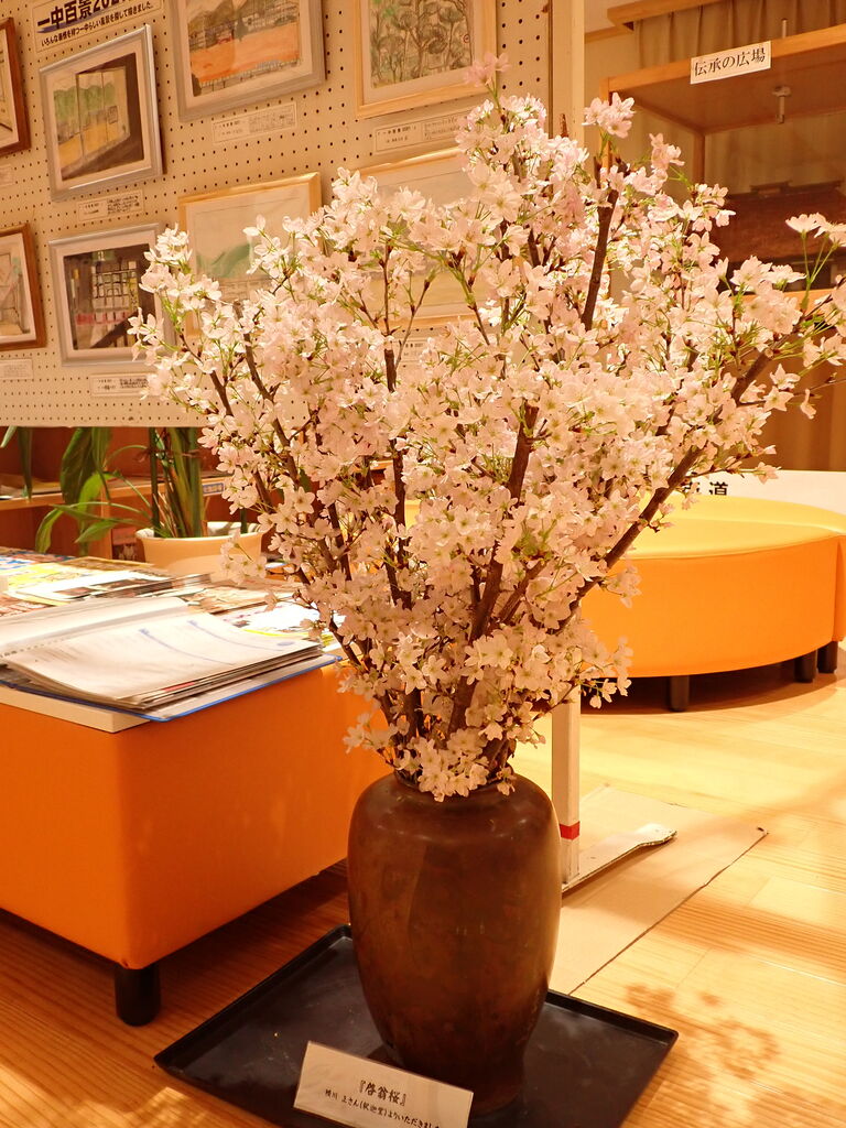 山の天気について学んだ 勉強会 葉っぱ塾 ブナの森から吹く風 山の天気について学んだ 勉強会 葉っぱ塾 ブナの森から吹く風