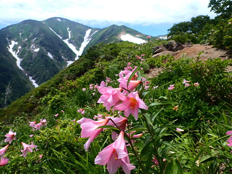 P7073358