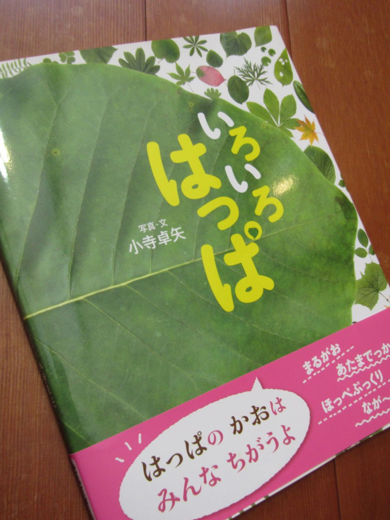 葉っぱ塾 推薦絵本 小寺卓矢著 いろいろはっぱ のこと 葉っぱ塾 ブナの森から吹く風 葉っぱ塾 推薦絵本 小寺卓矢著 いろいろはっぱ のこと 葉っぱ塾 ブナの森から吹く風