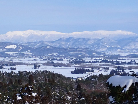 P1236576