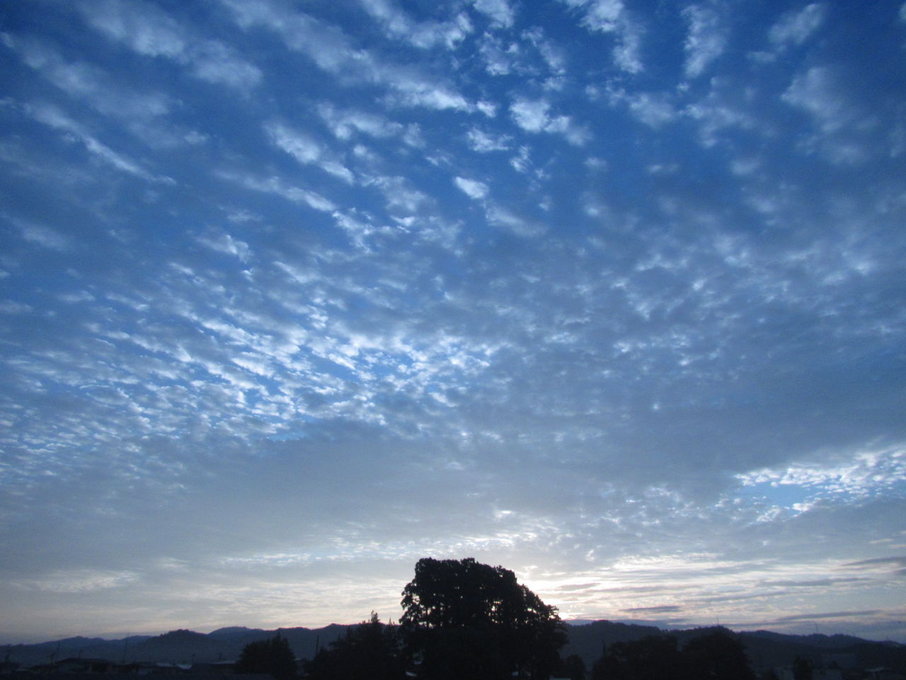 葉っぱ塾 ブナの森から吹く風 やぎりん Livedoor Blog ブログ