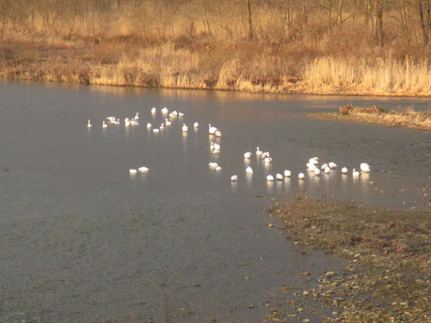 IMG_7659���