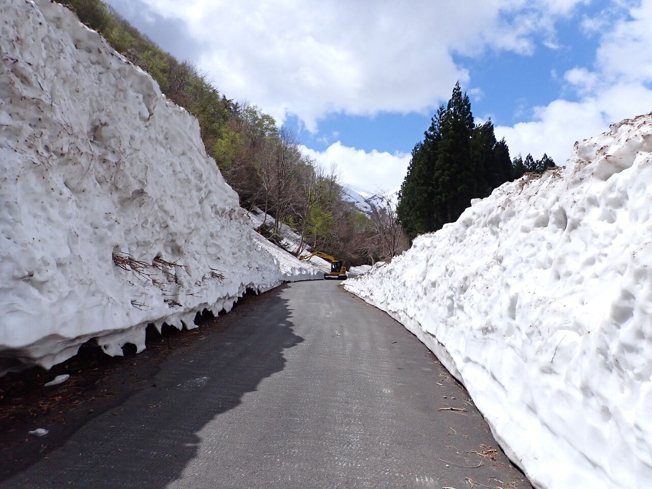 雪解け早めの倉手山へ 時々霰 葉っぱ塾 ブナの森から吹く風