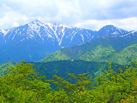 P6012768
