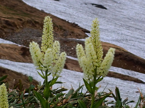 P7073374