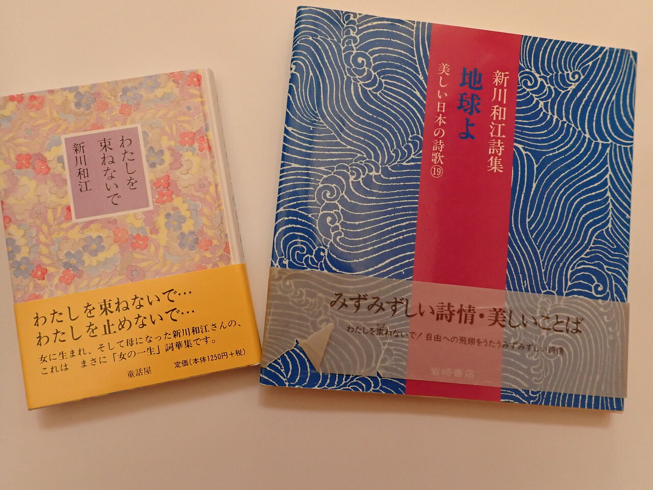 『名づけられた葉』の新川和江さん、逝く : 葉っぱ塾~ブナの森 『名づけられた葉』の新川和江さん、逝く : 葉っぱ塾~ブナの森