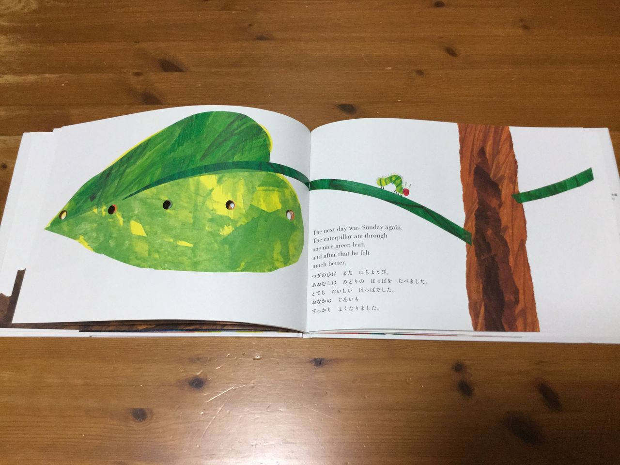 はらぺこあおむし のはっぱ 就職 復職サポーター 葉っぱセラピストkeiのblog