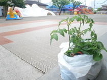 P1220279