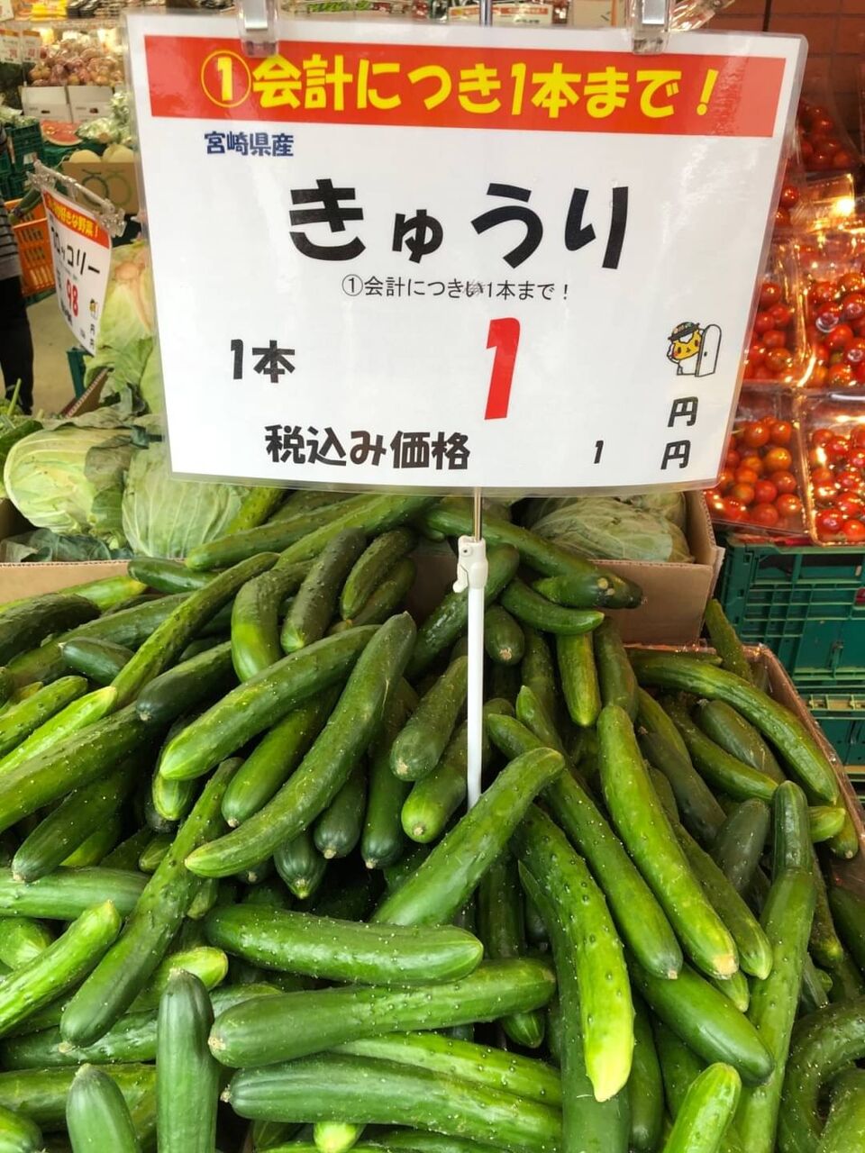1円で買えるもの ポケット日記 1円で買えるもの ポケット日記